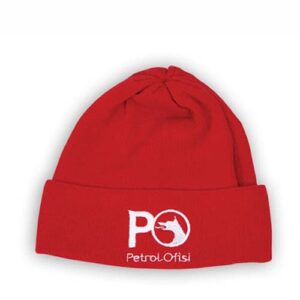 Polar Bere